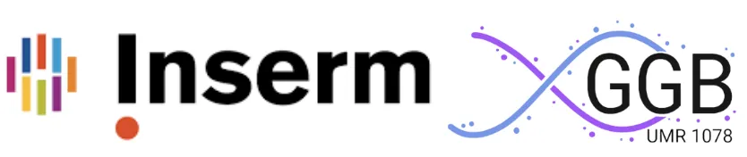 logo Inserm et GGB