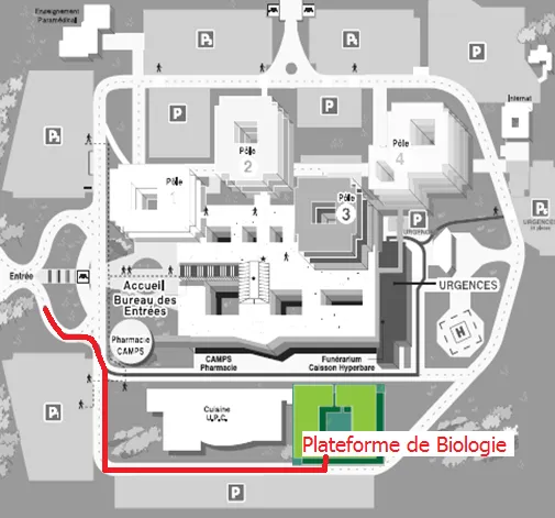 plan du chu