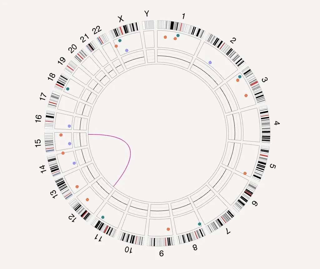 Unité de génétique chromosomique 