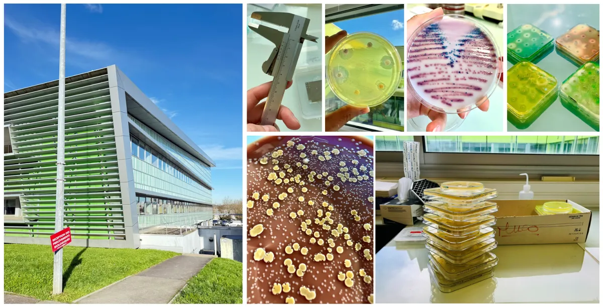enseignement des bactériologie fondamentale 