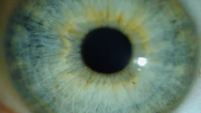 smile_oeil-1.png