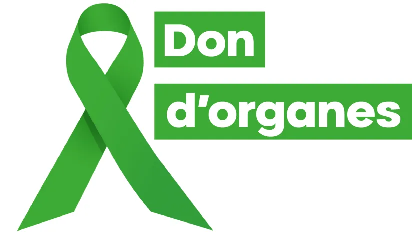 RUBAN_TV_DONdORGANES_RVB