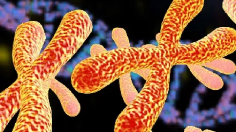 Mieux décrypter les maladies génétiques pour favoriser leur diagnostic et permettre une meilleure prise en charge des patients.