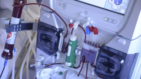 zoom sur un dialyseur